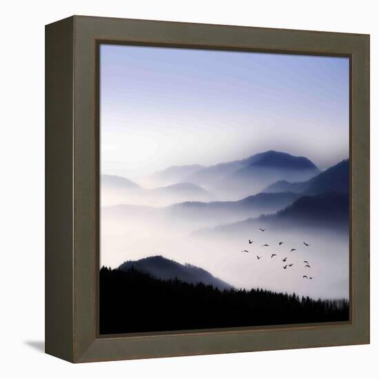 Flying over the Fog-Philippe Sainte-Laudy-Framed Premier Image Canvas