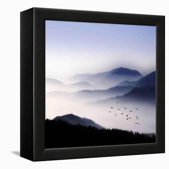 Flying over the Fog-Philippe Sainte-Laudy-Framed Premier Image Canvas