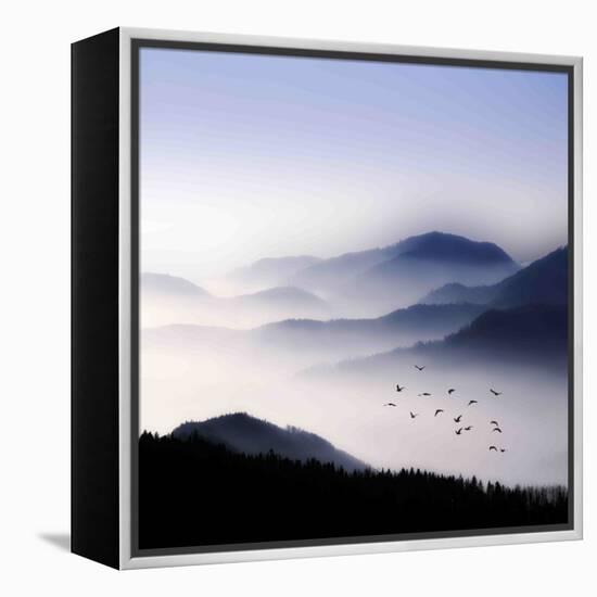 Flying over the Fog-Philippe Sainte-Laudy-Framed Premier Image Canvas