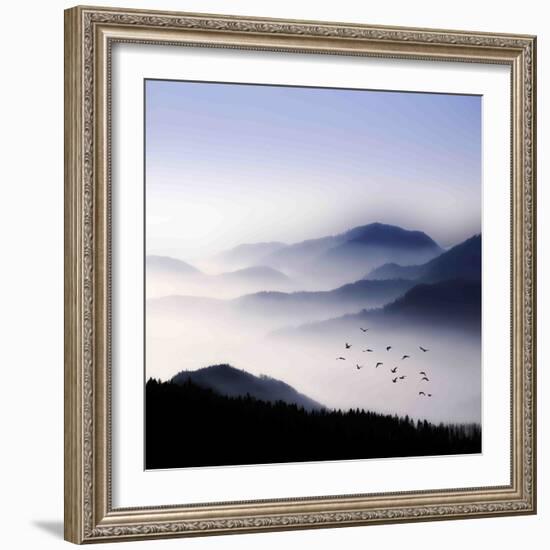 Flying over the Fog-Philippe Sainte-Laudy-Framed Photographic Print