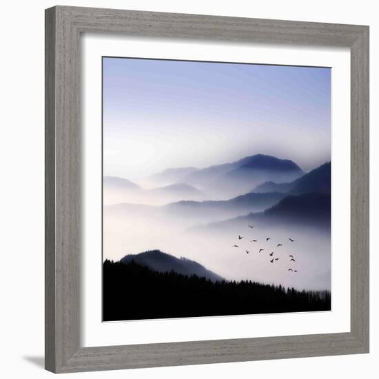 Flying over the Fog-Philippe Sainte-Laudy-Framed Photographic Print