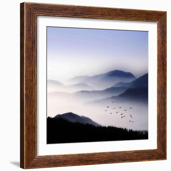 Flying over the Fog-Philippe Sainte-Laudy-Framed Photographic Print