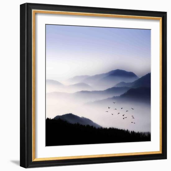 Flying over the Fog-Philippe Sainte-Laudy-Framed Photographic Print