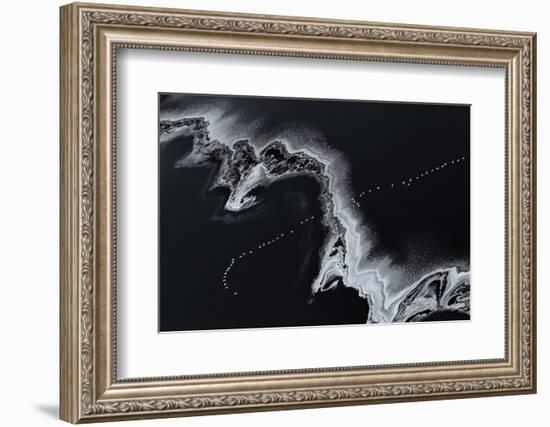 Flying Over-Jun Zuo-Framed Photographic Print