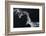 Flying Over-Jun Zuo-Framed Photographic Print