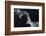 Flying Over-Jun Zuo-Framed Photographic Print