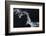 Flying Over-Jun Zuo-Framed Photographic Print