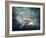 Flying Owl Bird at Night-egal-Framed Photographic Print