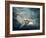 Flying Owl Bird at Night-egal-Framed Photographic Print