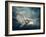 Flying Owl Bird at Night-egal-Framed Photographic Print