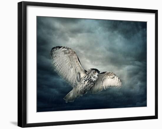 Flying Owl Bird at Night-egal-Framed Photographic Print