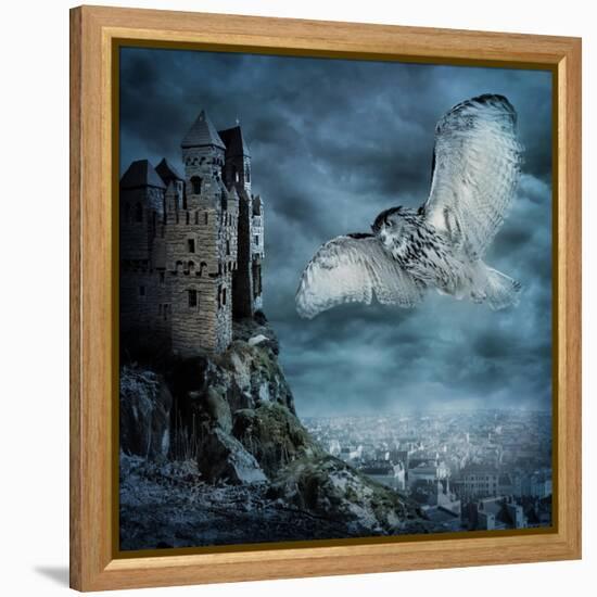 Flying Owl Bird-egal-Framed Stretched Canvas