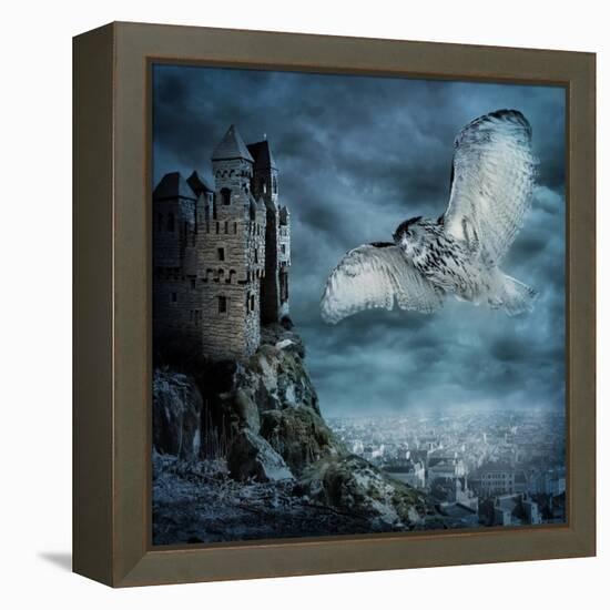 Flying Owl Bird-egal-Framed Stretched Canvas