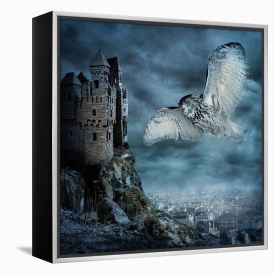 Flying Owl Bird-egal-Framed Stretched Canvas