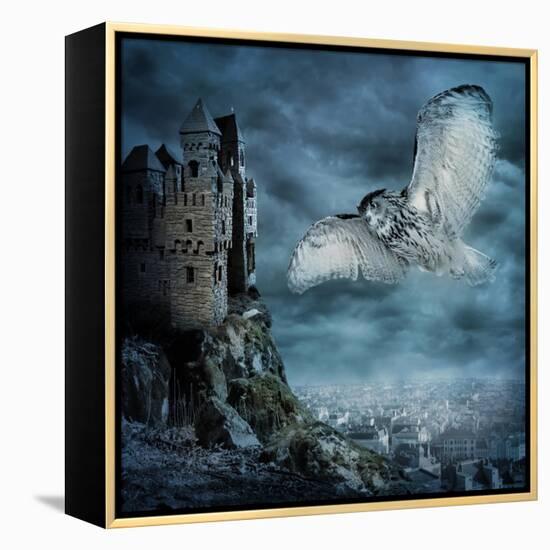 Flying Owl Bird-egal-Framed Stretched Canvas