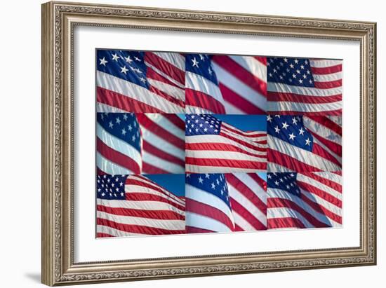 Flying Proud-Steve Gadomski-Framed Photographic Print