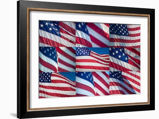 Flying Proud-Steve Gadomski-Framed Photographic Print