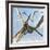 Flying Pterodactyls Searching for Food-Stocktrek Images-Framed Art Print