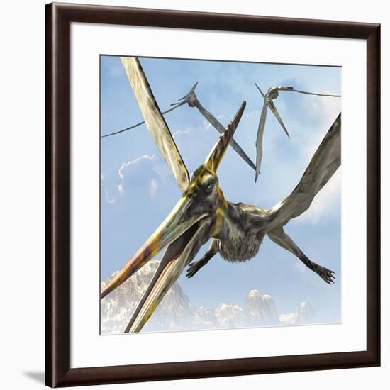 Flying Pterodactyls Searching for Food-Stocktrek Images-Framed Art Print