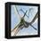 Flying Pterodactyls Searching for Food-Stocktrek Images-Framed Stretched Canvas