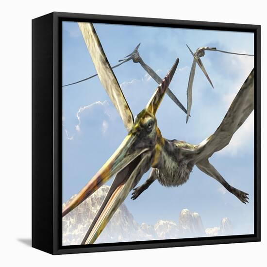 Flying Pterodactyls Searching for Food-Stocktrek Images-Framed Stretched Canvas