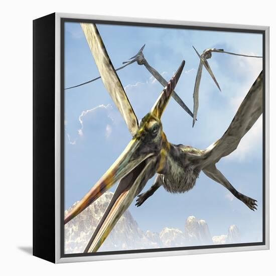 Flying Pterodactyls Searching for Food-Stocktrek Images-Framed Stretched Canvas