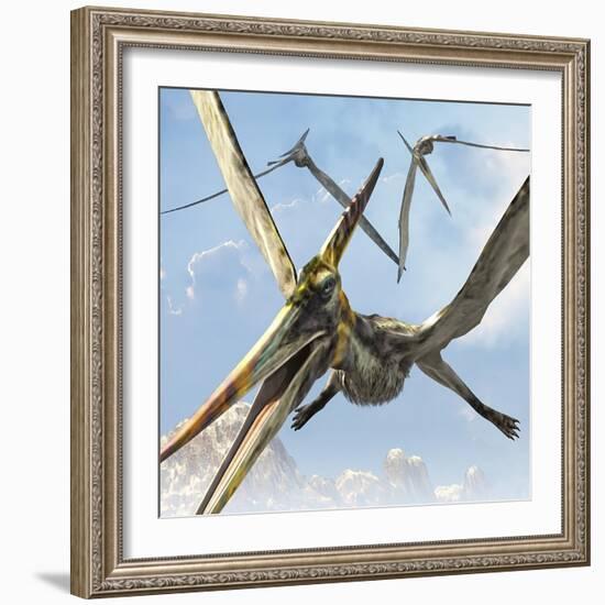 Flying Pterodactyls Searching for Food-Stocktrek Images-Framed Art Print