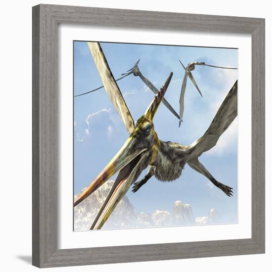 Flying Pterodactyls Searching for Food-Stocktrek Images-Framed Art Print