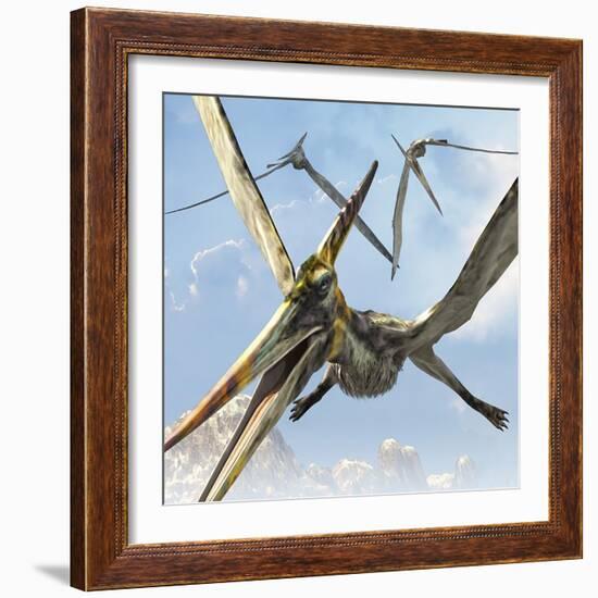 Flying Pterodactyls Searching for Food-Stocktrek Images-Framed Art Print