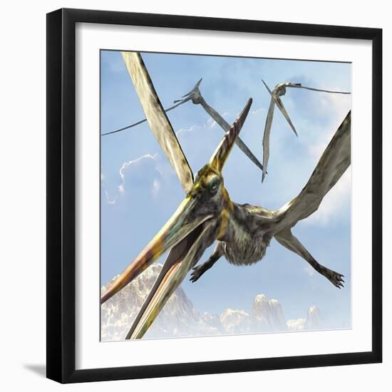 Flying Pterodactyls Searching for Food-Stocktrek Images-Framed Art Print