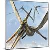 Flying Pterodactyls Searching for Food-Stocktrek Images-Mounted Art Print
