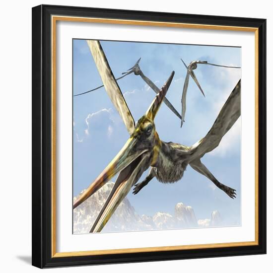 Flying Pterodactyls Searching for Food-Stocktrek Images-Framed Art Print