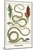 Flying Snake-Albertus Seba-Mounted Art Print