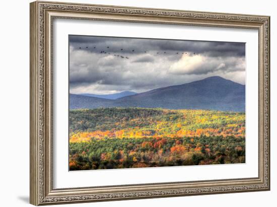 Flying South-Robert Goldwitz-Framed Photographic Print