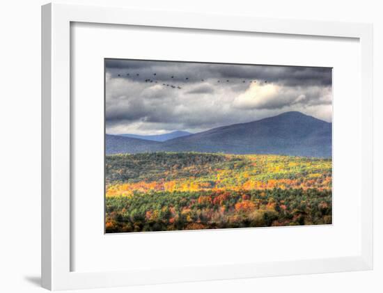 Flying South-Robert Goldwitz-Framed Photographic Print