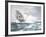 Flying Spume - The Adelaide-Montague Dawson-Framed Giclee Print