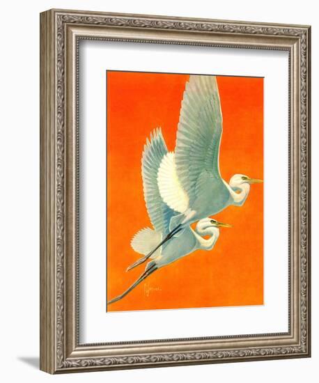 "Flying Storks,"June 19, 1937-Francis Lee Jaques-Framed Giclee Print