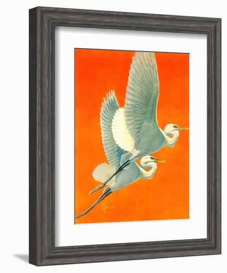 "Flying Storks,"June 19, 1937-Francis Lee Jaques-Framed Giclee Print