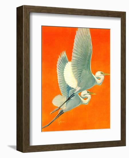 "Flying Storks,"June 19, 1937-Francis Lee Jaques-Framed Giclee Print