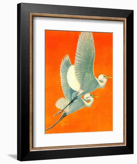 "Flying Storks,"June 19, 1937-Francis Lee Jaques-Framed Giclee Print