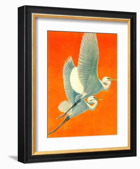 "Flying Storks,"June 19, 1937-Francis Lee Jaques-Framed Giclee Print