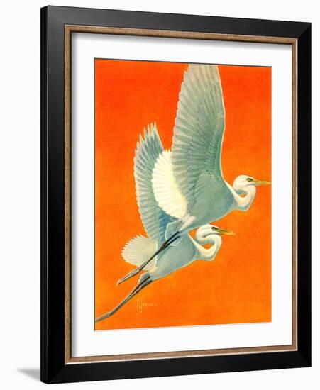 "Flying Storks,"June 19, 1937-Francis Lee Jaques-Framed Premium Giclee Print