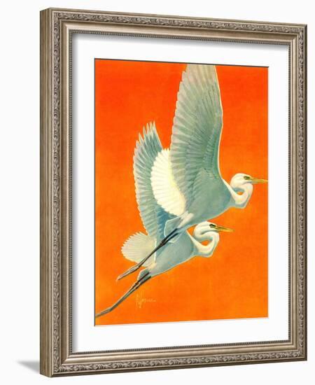 "Flying Storks,"June 19, 1937-Francis Lee Jaques-Framed Giclee Print