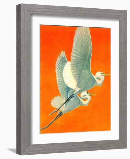 "Flying Storks,"June 19, 1937-Francis Lee Jaques-Framed Giclee Print