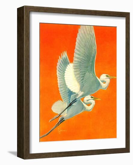 "Flying Storks,"June 19, 1937-Francis Lee Jaques-Framed Giclee Print