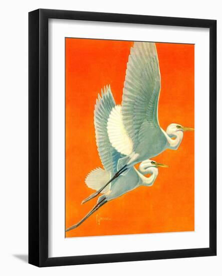"Flying Storks,"June 19, 1937-Francis Lee Jaques-Framed Giclee Print