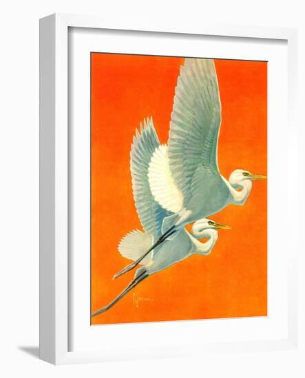 "Flying Storks,"June 19, 1937-Francis Lee Jaques-Framed Giclee Print