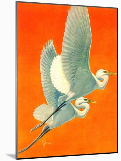 "Flying Storks,"June 19, 1937-Francis Lee Jaques-Mounted Giclee Print
