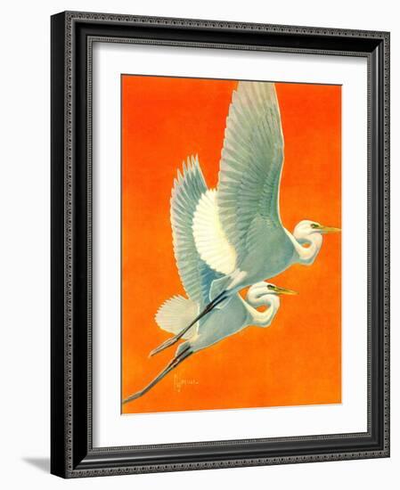 "Flying Storks,"June 19, 1937-Francis Lee Jaques-Framed Giclee Print