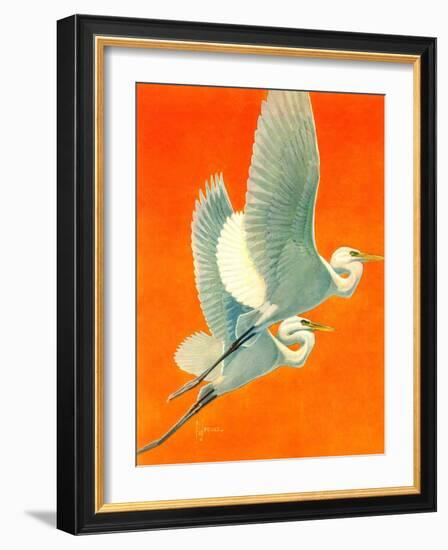 "Flying Storks,"June 19, 1937-Francis Lee Jaques-Framed Giclee Print